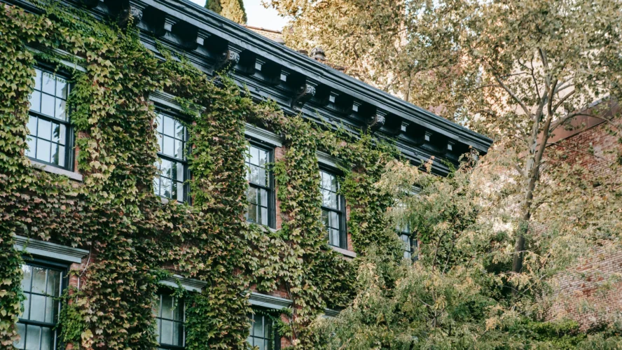 The Rise of Green Roofs and Walls: Benefits for Urban Sustainability