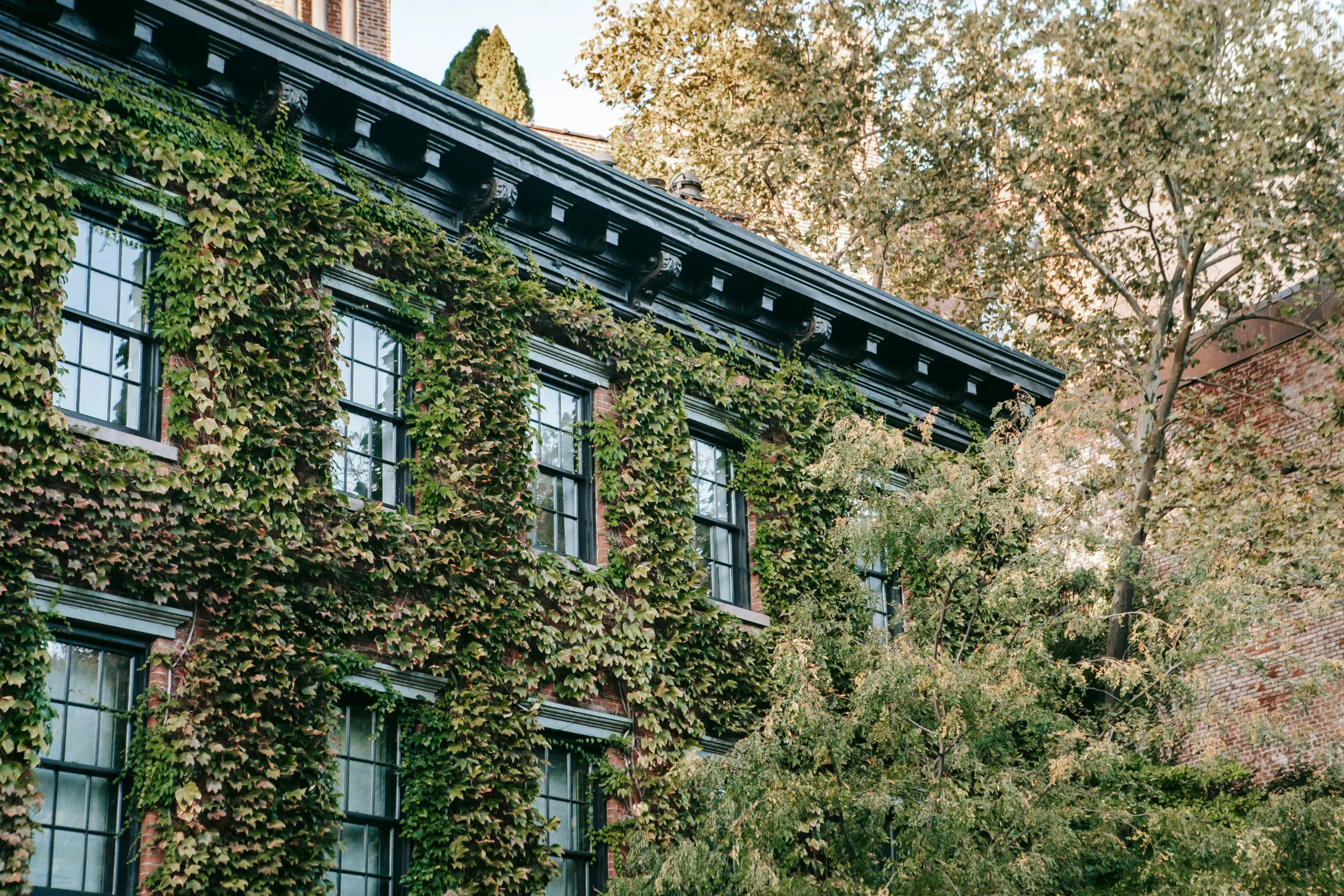 The Rise of Green Roofs and Walls: Benefits for Urban Sustainability