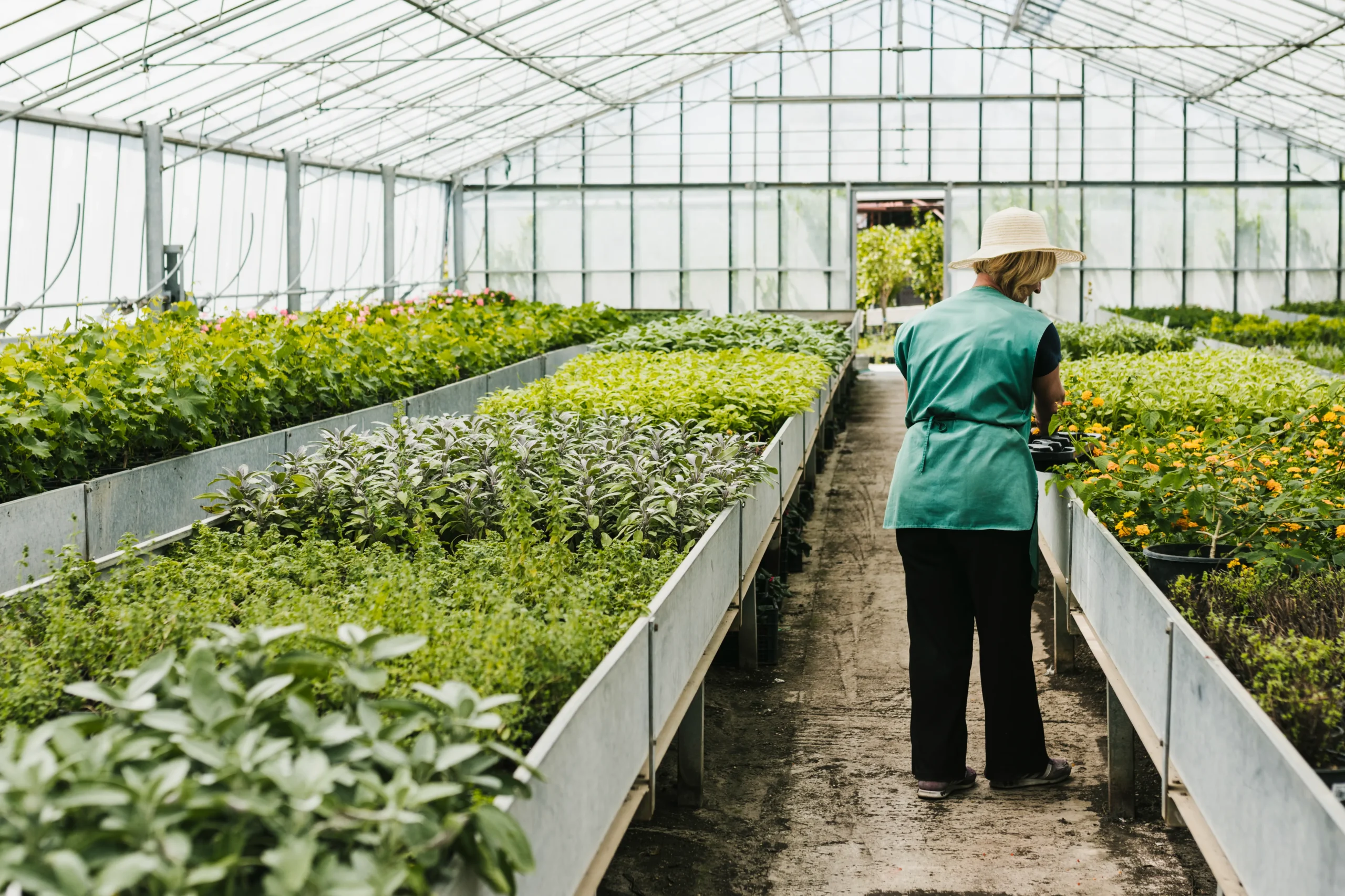 Urban Agriculture